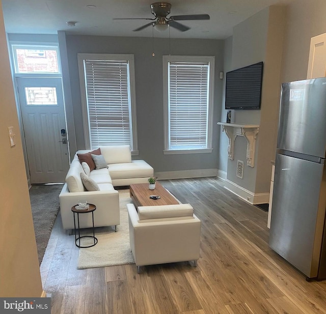 living room with ceiling fan and hardwood / wood-style flooring