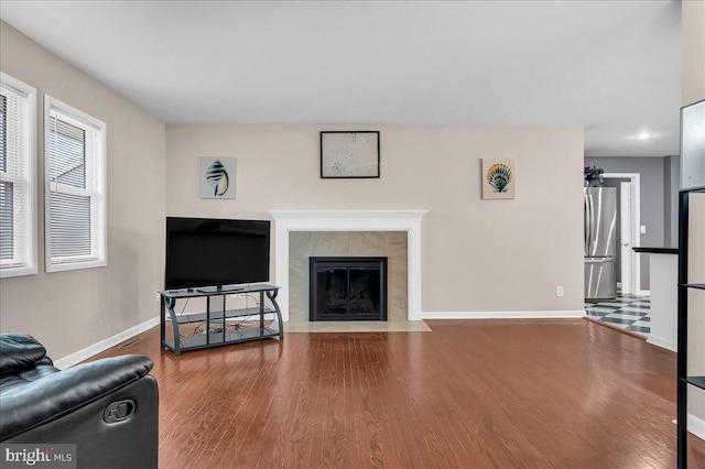 living room featuring a fireplace and hardwood / wood-style flooring