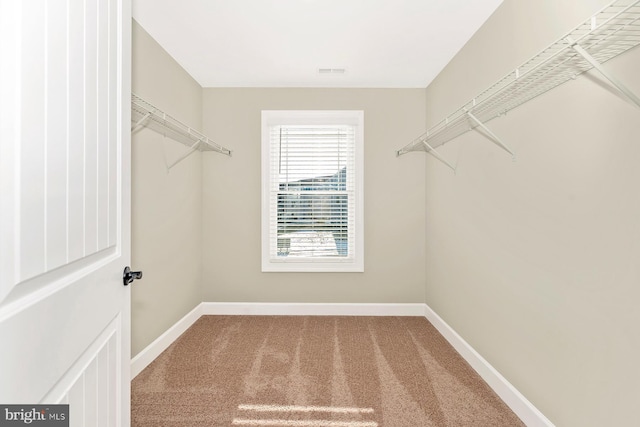 spacious closet with carpet