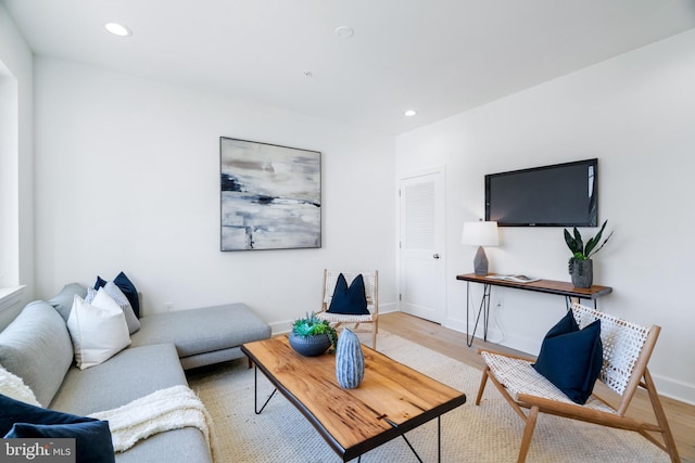 living room featuring hardwood / wood-style flooring