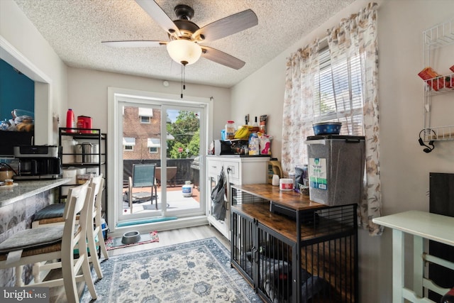 office with a wealth of natural light, a textured ceiling, light hardwood / wood-style floors, and ceiling fan