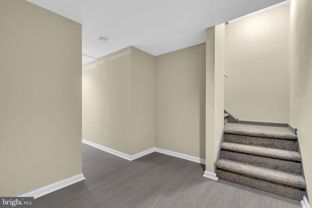 staircase with hardwood / wood-style flooring