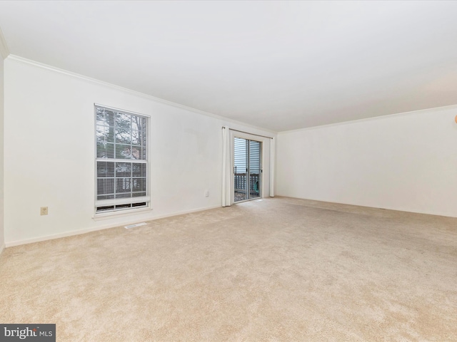 empty room featuring ornamental molding, light carpet, and a wealth of natural light