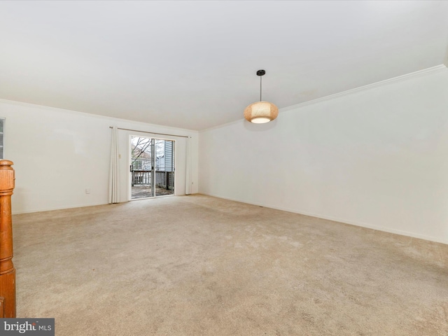 empty room with light carpet and crown molding