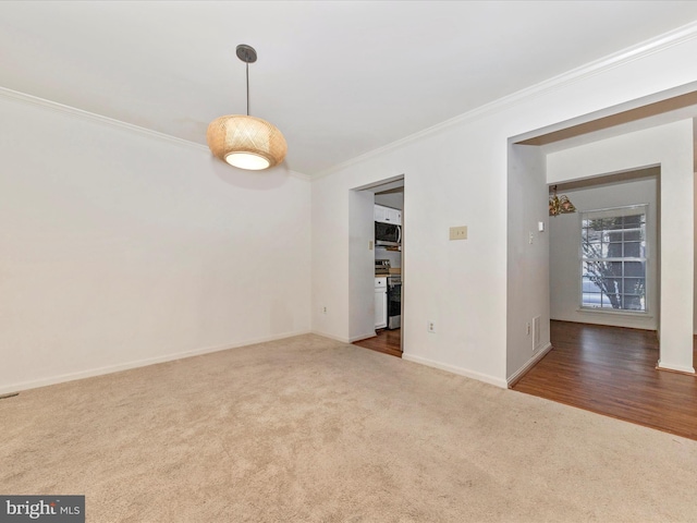 empty room with carpet floors and crown molding