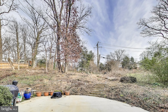 view of yard with a patio