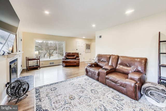 living room featuring a fireplace and light hardwood / wood-style flooring