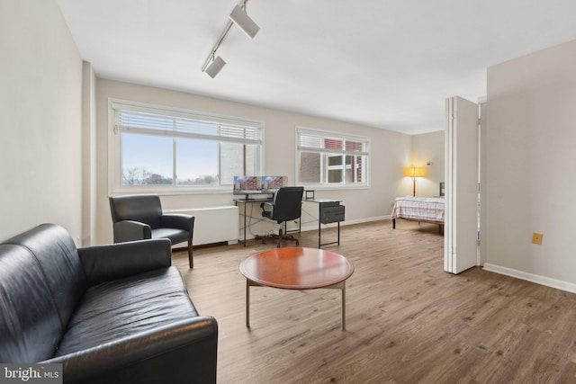 living room with light wood-type flooring and rail lighting