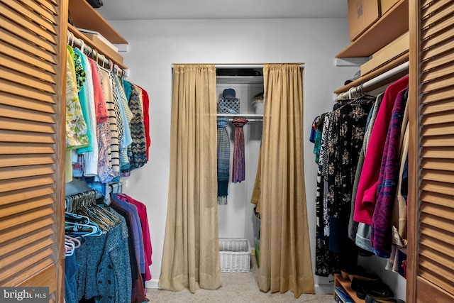 spacious closet with light carpet