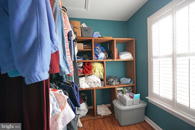 walk in closet featuring wood-type flooring