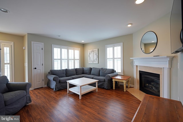 living room with dark hardwood / wood-style flooring