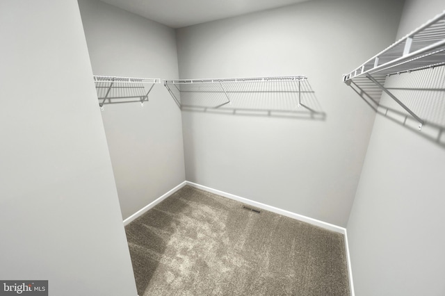 spacious closet featuring carpet flooring