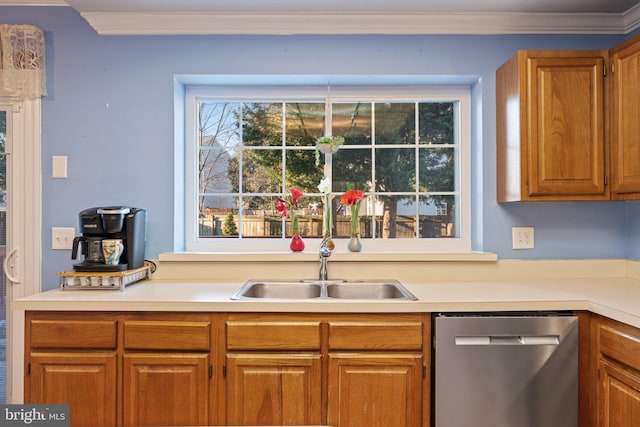 kitchen with dishwasher and sink