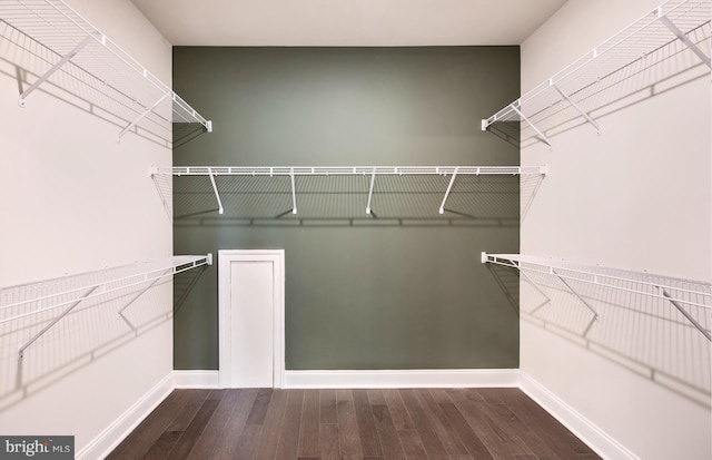 walk in closet with wood-type flooring