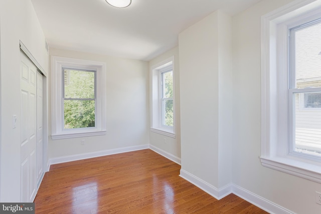 spare room featuring a healthy amount of sunlight and light hardwood / wood-style floors