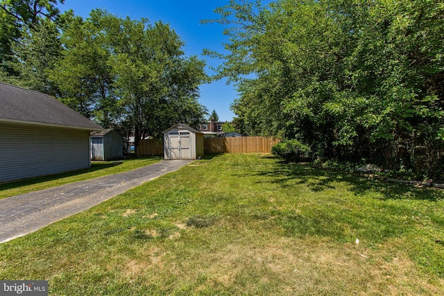 view of yard with a shed