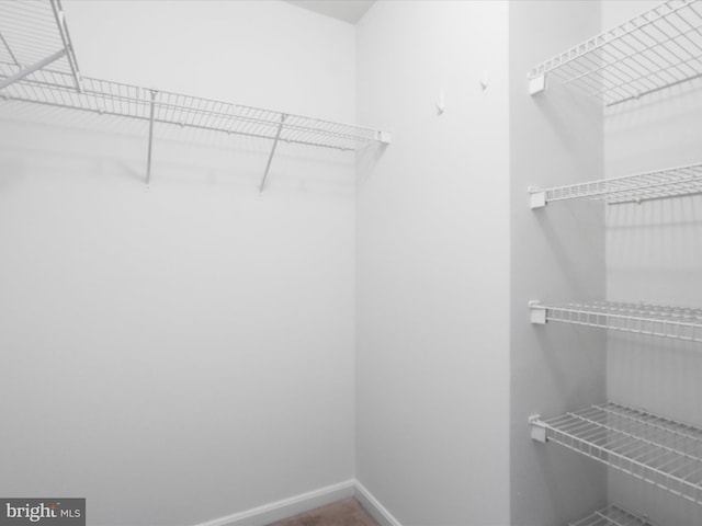 view of walk in closet