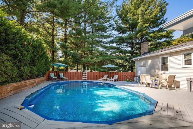 view of pool featuring a wooden deck