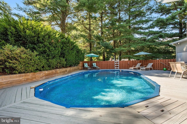 view of pool with a wooden deck