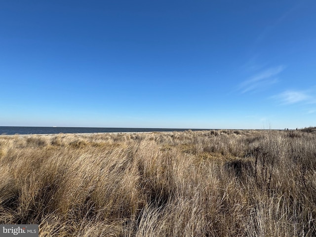 view of local wilderness