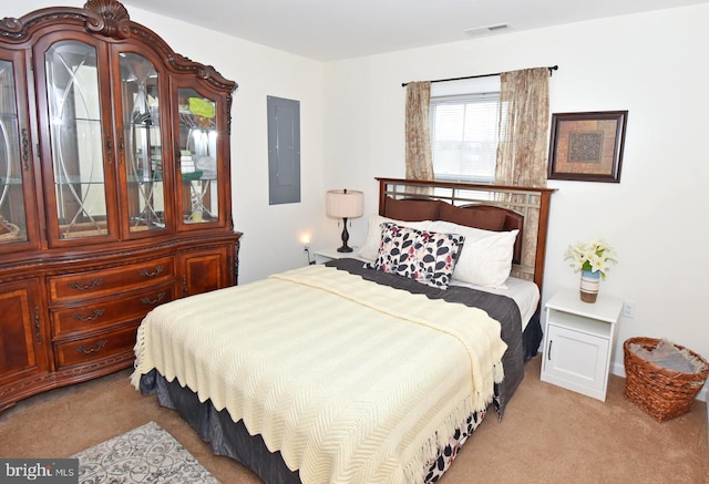 carpeted bedroom with electric panel