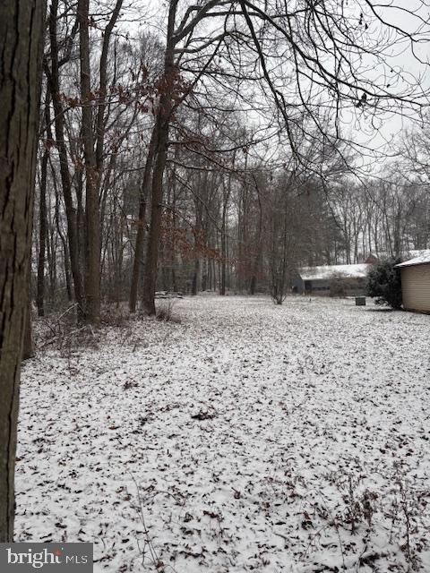 view of snowy yard