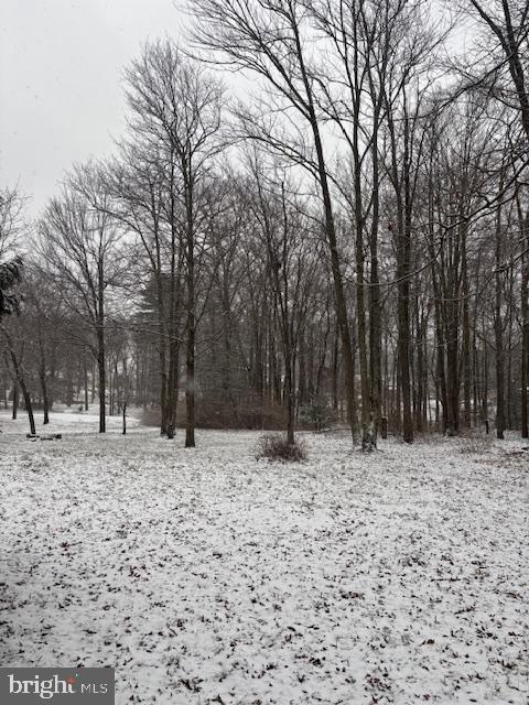 view of snow covered land