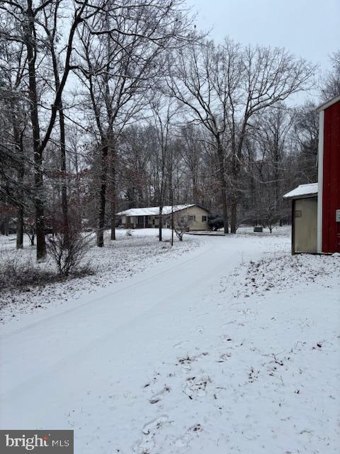 view of yard layered in snow