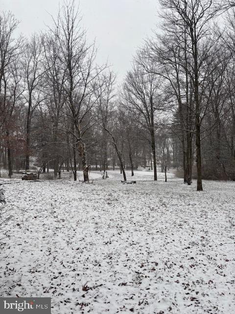 view of yard covered in snow