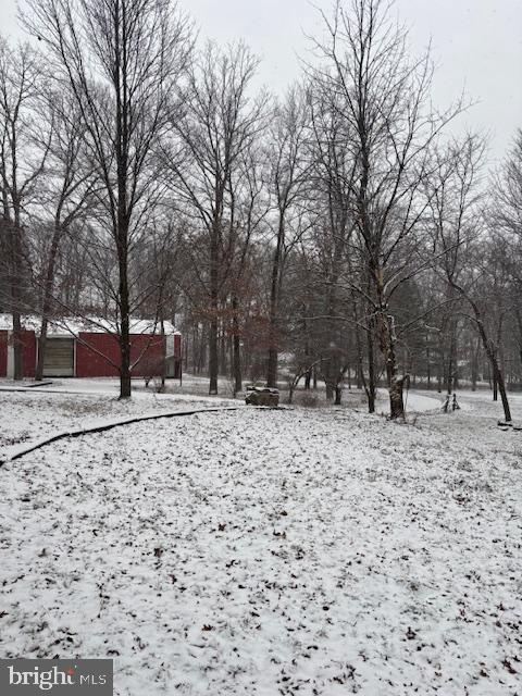 view of yard covered in snow