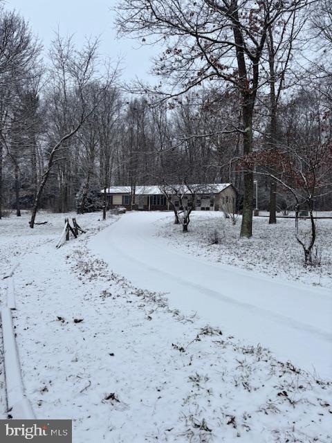 view of snowy yard