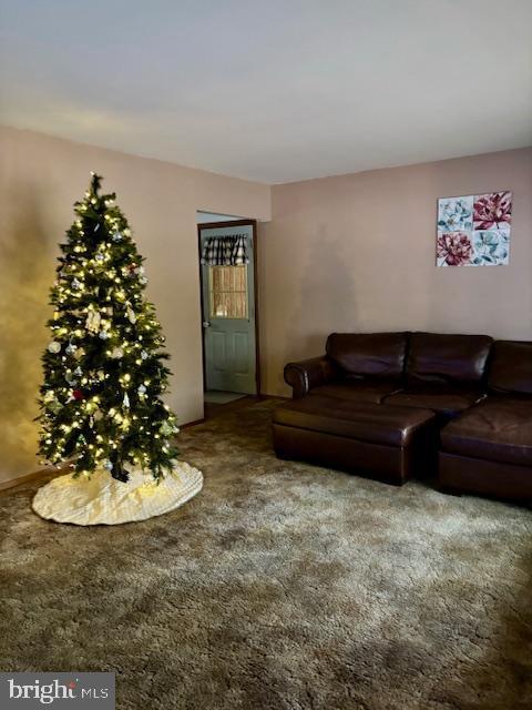 living room with carpet