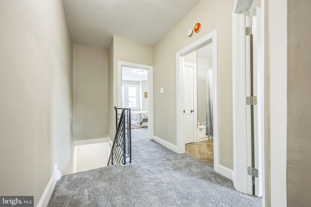 hallway with carpet flooring