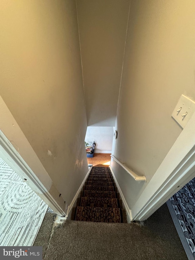 stairs featuring carpet floors