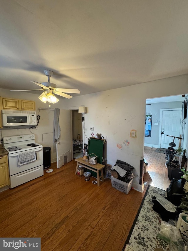 living room with ceiling fan and dark hardwood / wood-style flooring