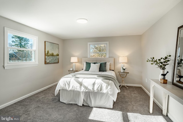 bedroom with multiple windows and carpet floors