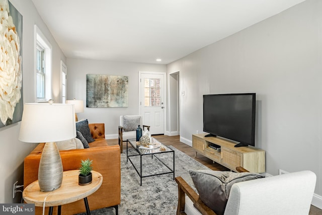 living room with wood-type flooring