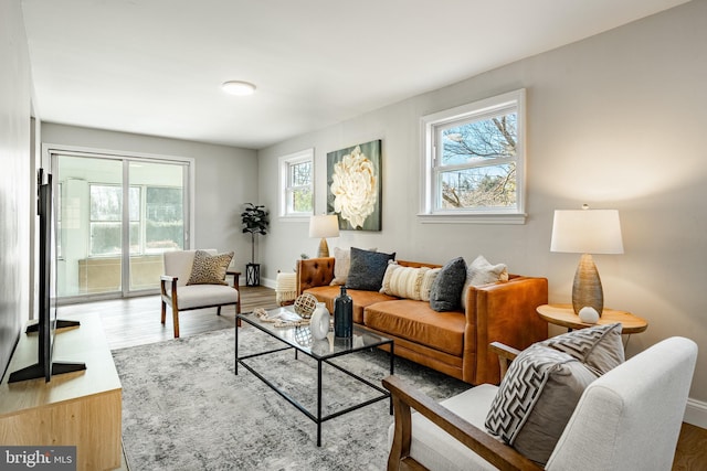 living room with hardwood / wood-style floors