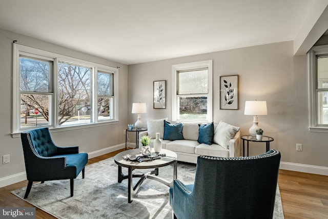 living room featuring hardwood / wood-style floors