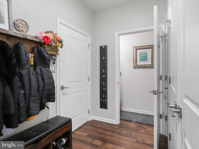 mudroom with dark hardwood / wood-style flooring