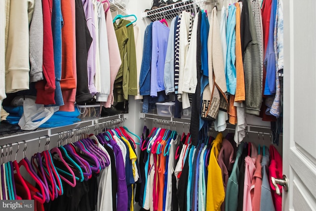 view of spacious closet