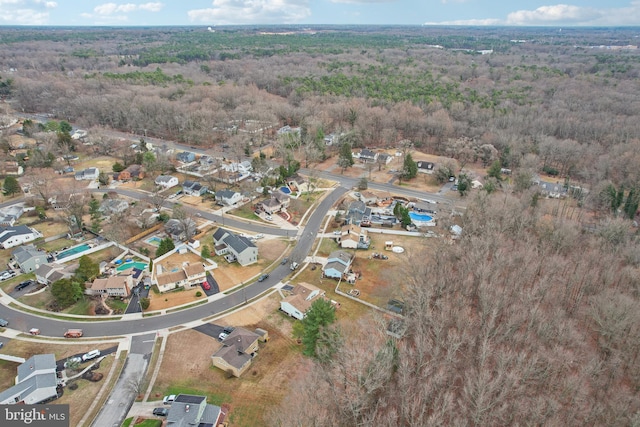 bird's eye view