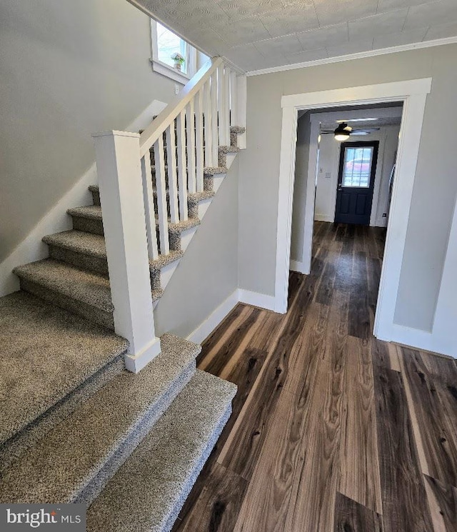 staircase featuring crown molding and wood-type flooring