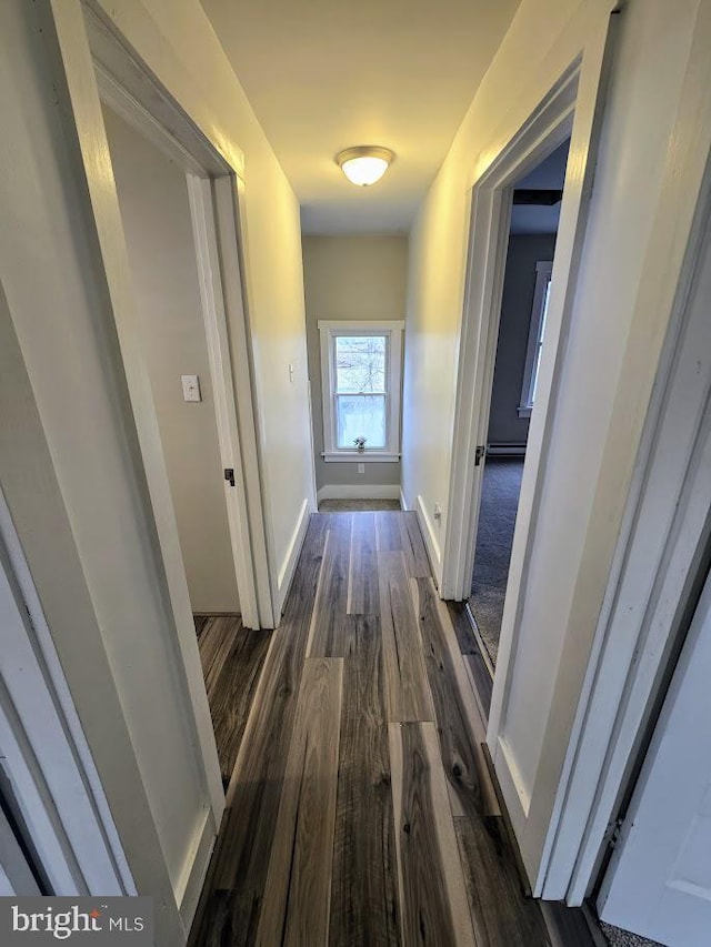 corridor featuring dark hardwood / wood-style floors