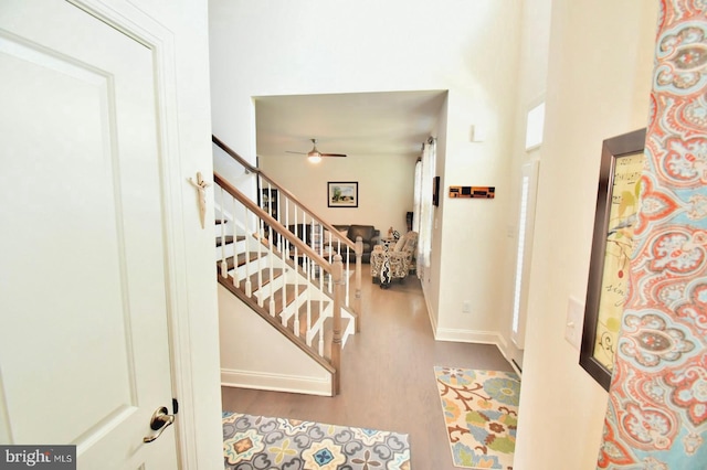 foyer featuring ceiling fan and wood-type flooring