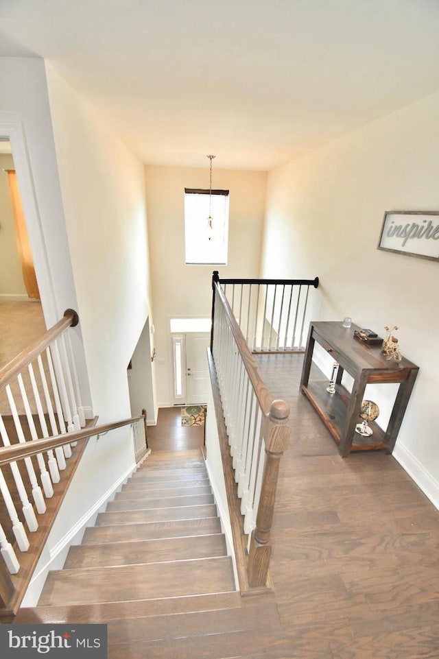 stairway featuring wood-type flooring