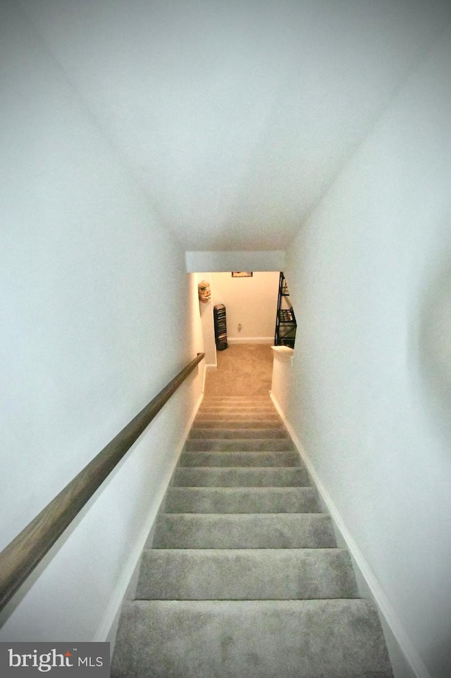 staircase featuring carpet