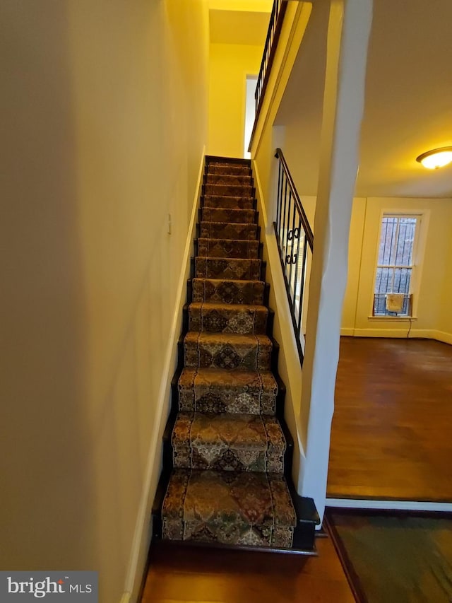 staircase featuring wood-type flooring