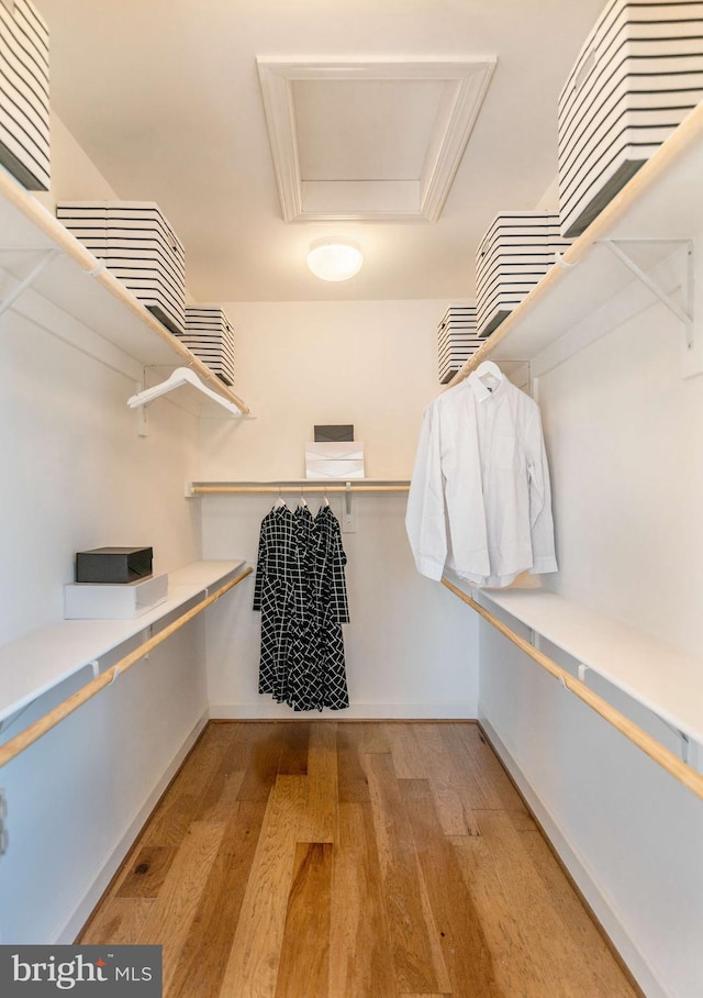 walk in closet with light hardwood / wood-style flooring