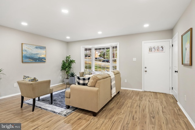 living room with light wood-type flooring